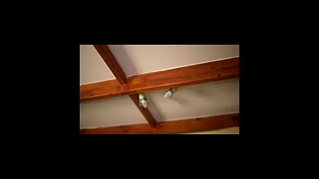 Snapshot of Bellis_Perenis chatting on 02.26.26 Bellis Perenis online show from 02.26.26