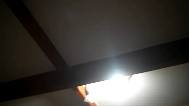 Snapshot of Bellis_Perenis chatting on 02.27.26 Bellis Perenis online show from 02.27.26