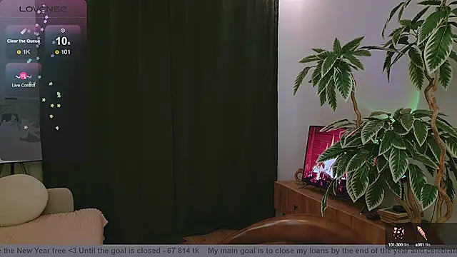 Pink SeaGul online show from 12.12.24