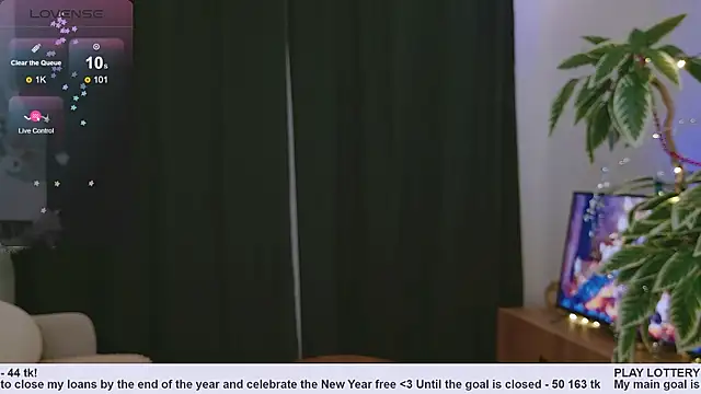 Pink SeaGul online show from 12.31.24