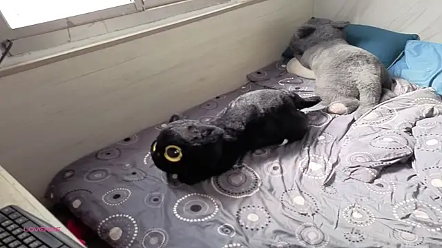 Snapshot of Big19Asia chatting on 09.18.25 Big19Asia online show from 09.18.25