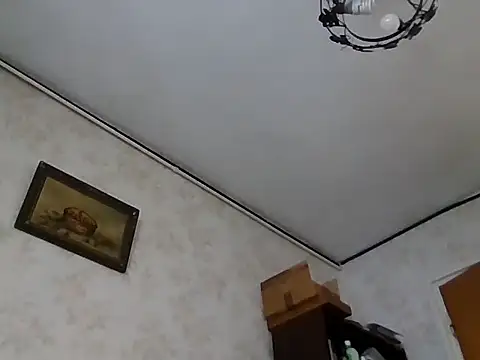 mariusica1xh online show from 11.01.25