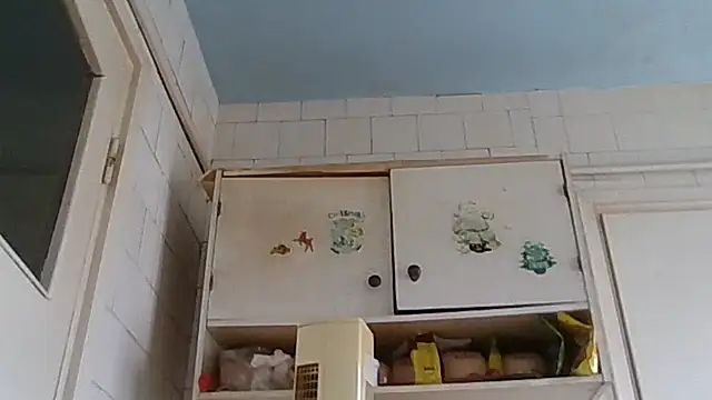 mariusica1xh online show from 02.19.26