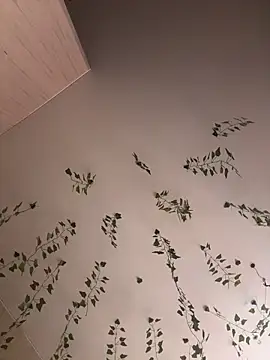 -Sexy Barbie- online show from 11.01.25