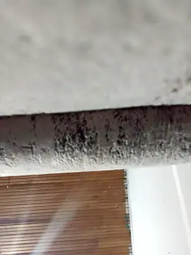 dulce celeste15 online show from 03.31.26