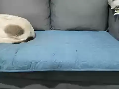 4small4inchlol online show from 02.20.25