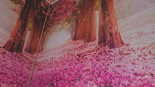 Wet nympho online show from 05.03.26