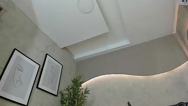 Snapshot of Will_Hendrix chatting on 01.15.25 Will Hendrix online show from 01.15.25