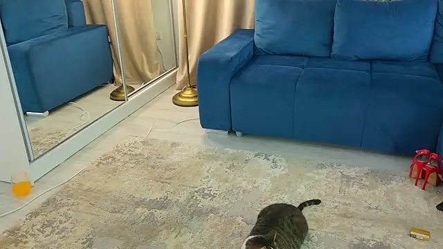 Addictive T online show from 02.12.25