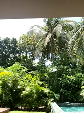 Olivia Collins1 online show from 09.16.25