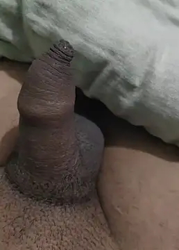 iaparna online show from 12.29.24