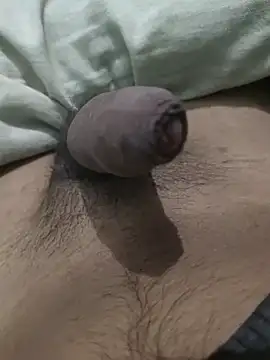 iaparna online show from 01.09.25