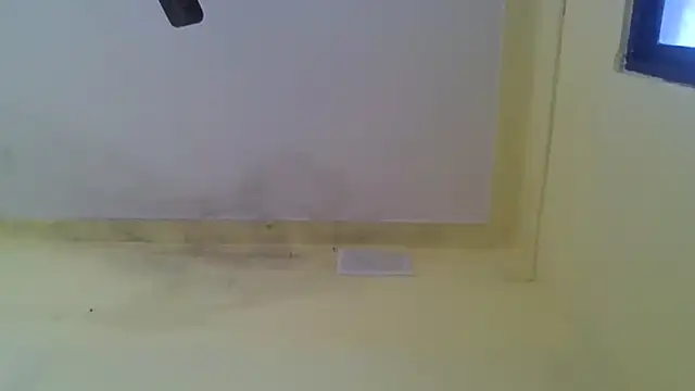 Nitya-Mahesh online show from 01.20.25