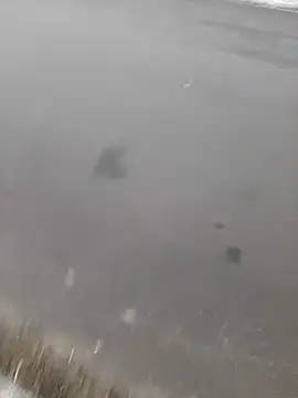 Snapshot of BRUNNA chatting on 03.20.25 BRUNNA online show from 03.20.25