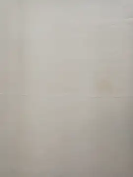 Rina777o online show from 12.15.24