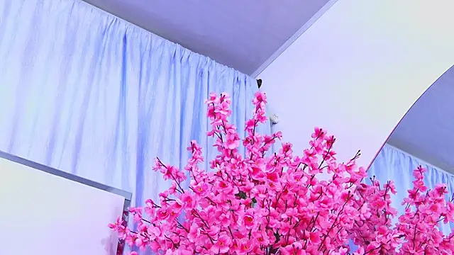 AlliciaKim online show from 04.28.26