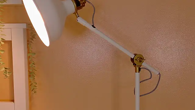 Snapshot of ParisFox_ chatting on 03.08.26 ParisFox online show from 03.08.26