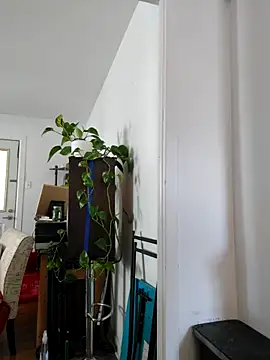 QcMisterv13 online show from 09.30.25