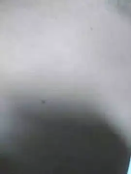 QcMisterv13 online show from 07.31.26
