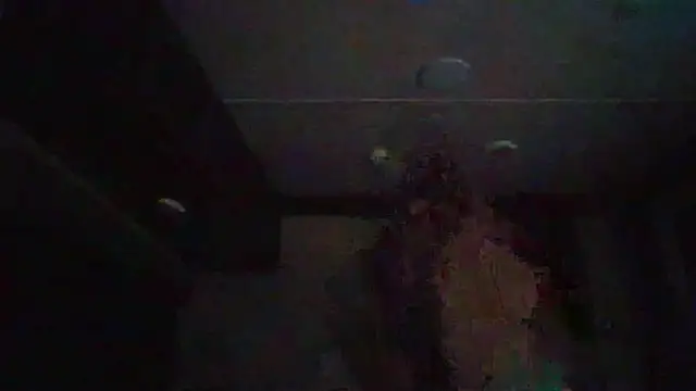 Snapshot of Cobra500hp chatting on 02.11.26 Cobra500hp online show from 02.11.26