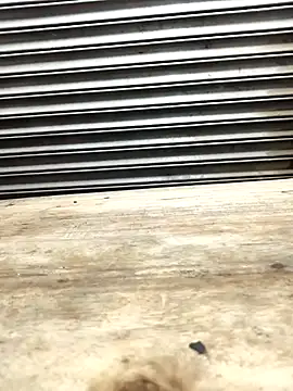 Snapshot of Bhabhi_desi12 chatting on 11.09.25 Bhabhi desi12 online show from 11.09.25