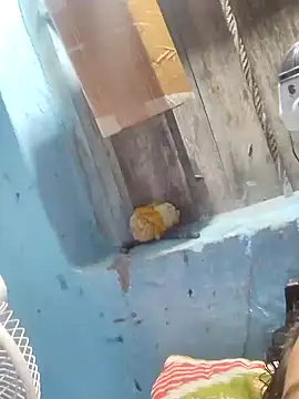 Natasha-In69 online show from 01.31.25