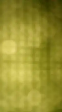 Snapshot of Sexybeer2005 chatting on 12.07.24 Sexybeer2005 online show from 12.07.24