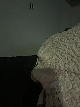 SluttyLyfe4L online show from 06.04.26