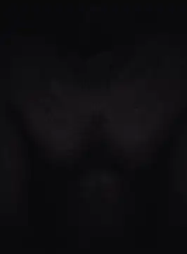 Keshuloveyou online show from 12.20.24