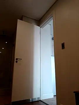 Snapshot of Sasha_fierceXXX chatting on 11.23.25 Sasha fierceXXX online show from 11.23.25