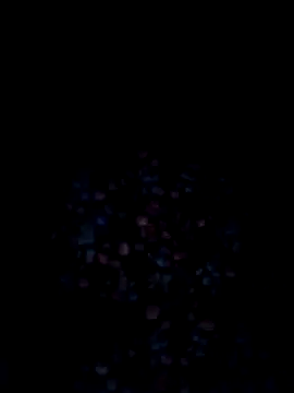 VyingAviary online show from 12.20.24