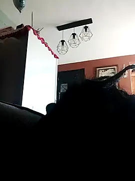 Bola453 online show from 03.02.26