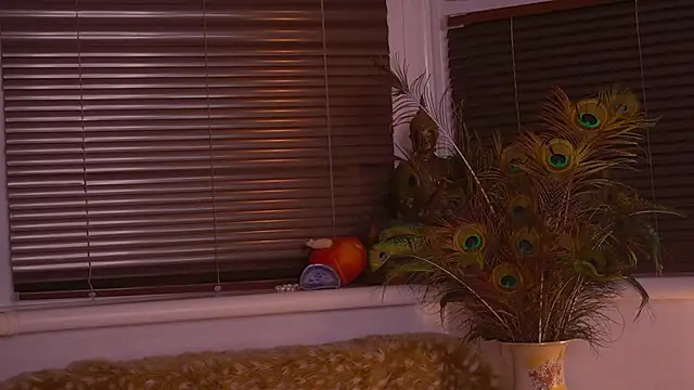 Snapshot of divinelights chatting on 11.12.25 divinelights online show from 11.12.25