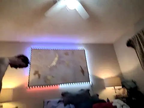 big8dall online show from 03.06.26