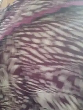 samitasharma online show from 11.14.25