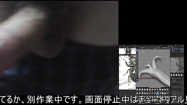 Snapshot of ikkakusai11 chatting on 11.21.25 ikkakusai11 online show from 11.21.25