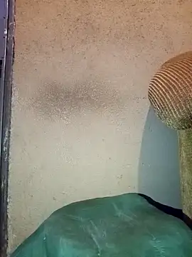 Thickcockzivyy online show from 02.20.26