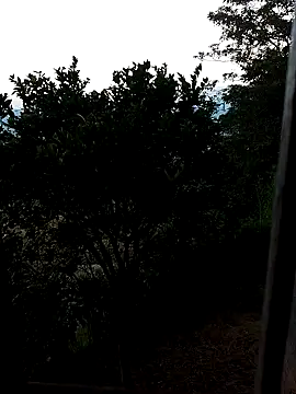 AuroraBon online show from 12.10.24