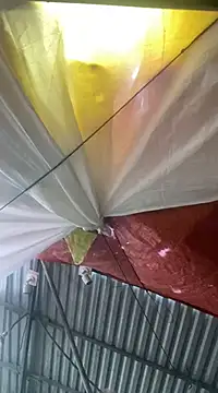 Cesywet online show from 02.07.25