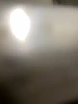 Cesywet online show from 02.23.25