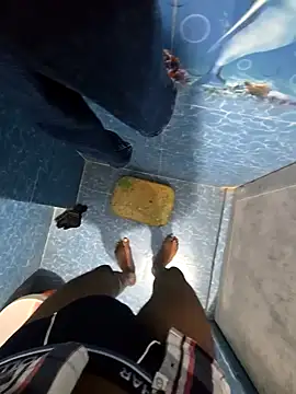 SageElement2 online show from 02.19.26