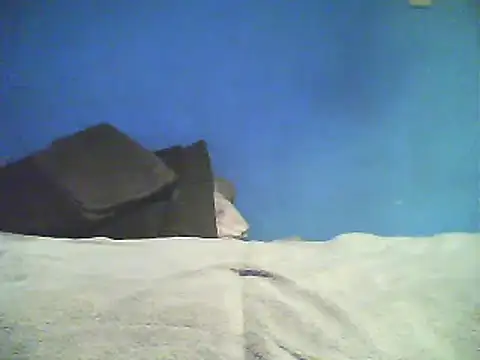 Snapshot of Vago745 chatting on 12.02.24 Vago745 online show from 12.02.24