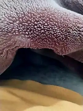 Snapshot of Sumitlive24MBD chatting on 12.17.24 Sumitlive24MBD online show from 12.17.24