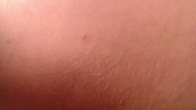 Snapshot of isabella_jazz chatting on 01.07.26 isabella jazz online show from 01.07.26