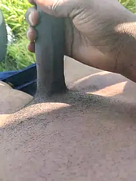 dhaadhawe online show from 03.06.26