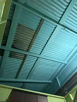 Snapshot of islandvybee55 chatting on 01.11.26 islandvybee55 online show from 01.11.26