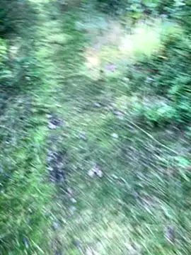 Zbochunec online show from 09.13.25