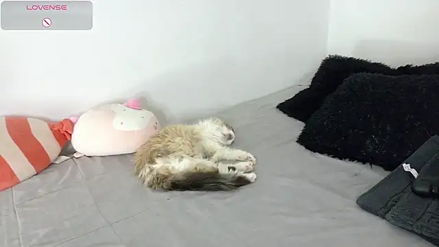 SophieBaker   online show from 05.02.26
