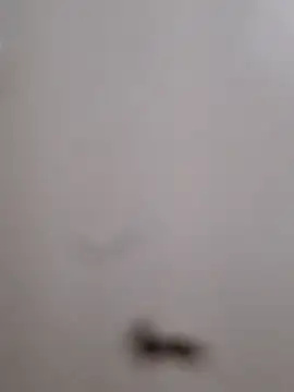 BriannaVincent online show from 09.13.25