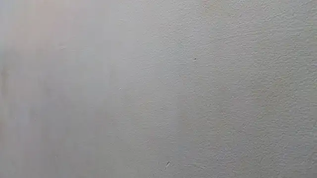 JESSYCORTES online show from 01.15.25